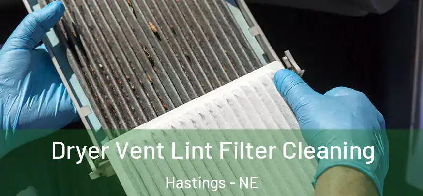  Dryer Vent Lint Filter Cleaning Hastings - NE