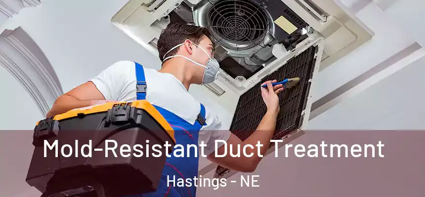 Mold-Resistant Duct Treatment Hastings - NE
