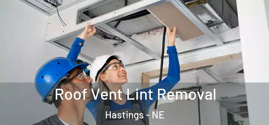 Roof Vent Lint Removal Hastings - NE