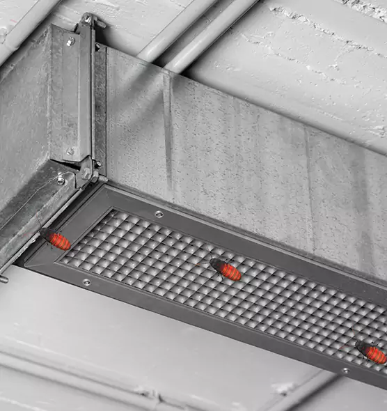 About Air Duct Cockroach Removal in Hastings, NE