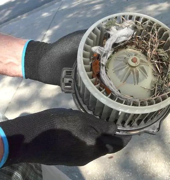 About Air Duct Rat Removal in Hastings, NE